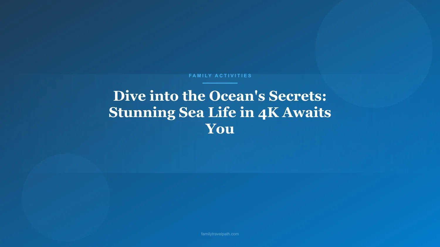 Dive into the Ocean's Secrets: Stunning Sea Life in 4K Awaits You